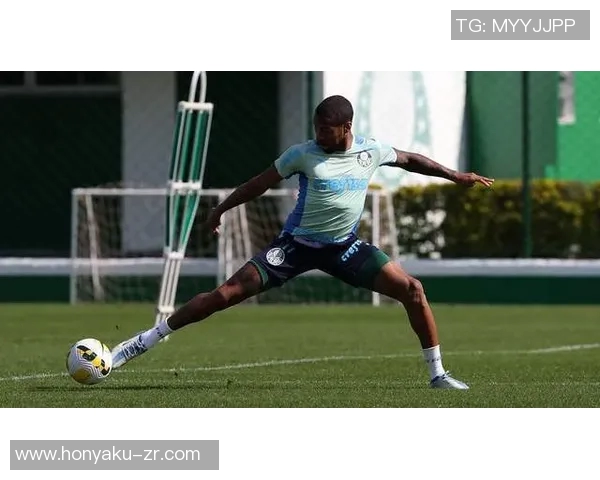 帕梅拉斯与阿瓦伊的激烈对决揭示巴西足球的魅力与竞争力